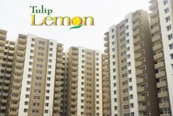 Tulip Lemon Sector 69 Gurgaon