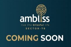 ROF Ambliss