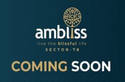 ROF Ambliss