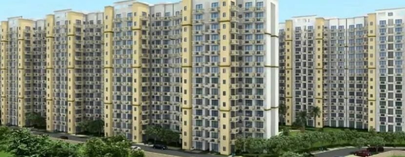 Ninex Sriflex City affordable