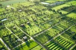 Hcbs-jha-29-ddjay-affordable-plots-sector-29-jhajjar