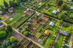 Pareena-ddjay-affordable-plots-sector-14-sohna