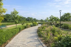 R2r-ddjay-affordable-plots-sector-20-jhajjar